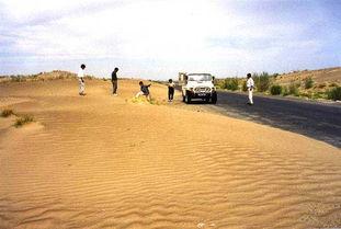 博乐市的吃瓜事件,一场引发全民热议的网络狂欢