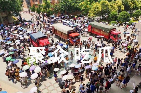 南宁各大高校吃瓜事件,校园事件背后的热议与反思