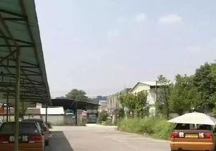 舆兴广场吃瓜事件始末