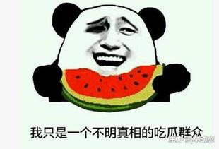 恶性吃瓜事件,恶性吃瓜事件背后的真相与反思