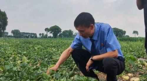 文水最新吃瓜事件,最新吃瓜事件揭秘，真相令人咋舌