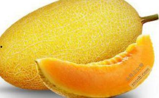 银川市吃哈密瓜事件,一场甜蜜争议的食品安全风云