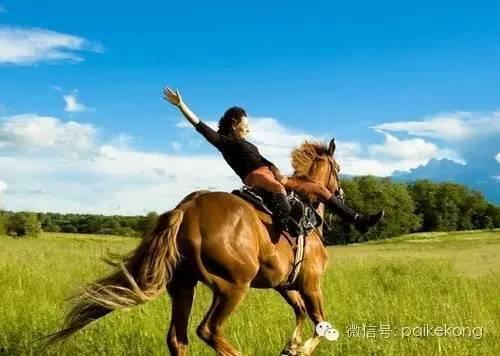 吃瓜骑马事件视频