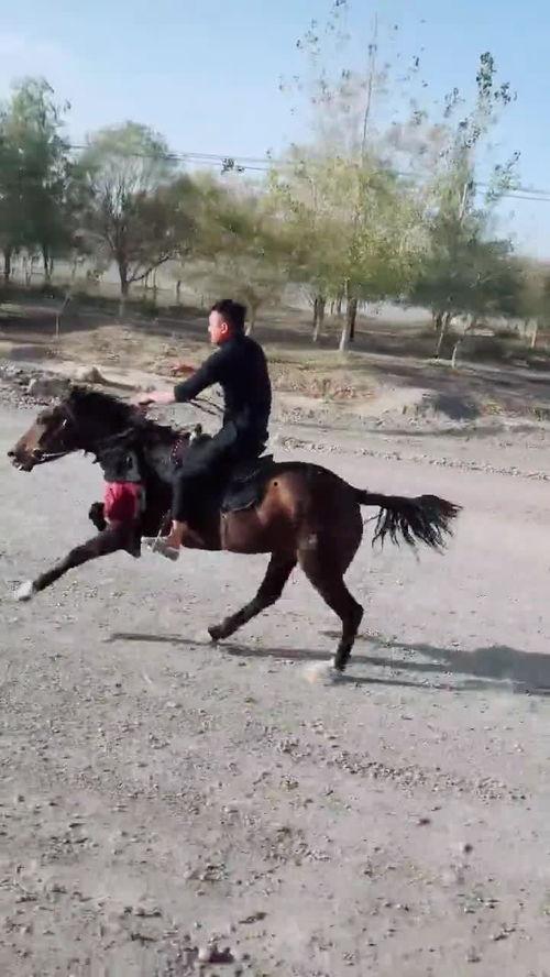 吃瓜骑马事件视频