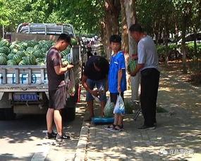 襄城县吃瓜群众事件视频,网络围观下的社会现象解析