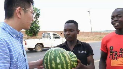 美国人在台湾吃瓜事件,国际舆论场上的风波与反思