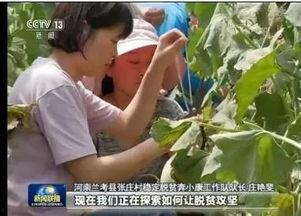 张庄吃瓜新闻报道事件