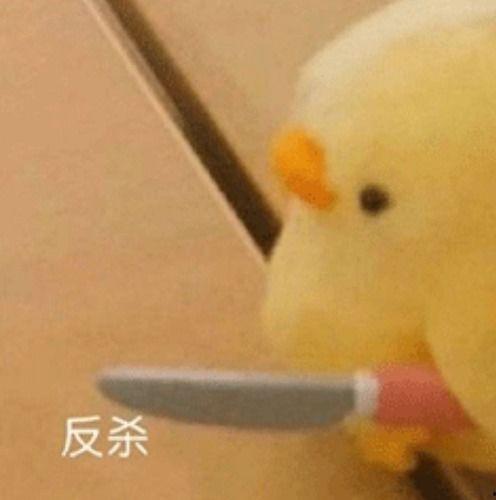 王校长最新吃瓜事件真相,真相大白，原来如此！