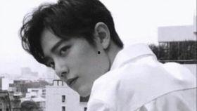 肖战吃瓜小结事件