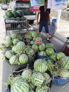 介休公安吃瓜事件真相,真相与反思