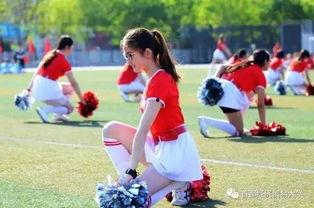 吃瓜最新事件校园,揭秘吃瓜事件背后的真相与影响