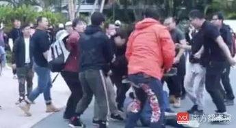 澳洲吃瓜打架事件视频,吃瓜群众瞬间变“打架达人”
