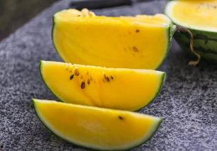 杭州摄影吃瓜事件始末是什么,一场网络争议的发酵与反思