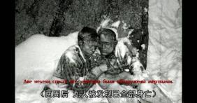 朝廷全员吃瓜事件视频,一场宫廷内的全民娱乐风暴