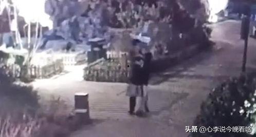 银川吃瓜事件真相视频,揭秘背后真相与网络舆论的反思